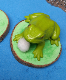 Complete Sensopatische Speelset Het leven van de Kikker