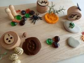 Klei en Stempel Sensory Box Kikker en Hagedis