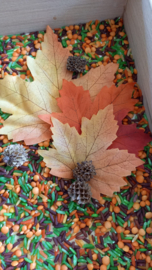 Sensorische Speelset Bosdieren