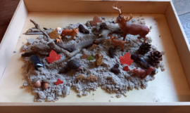 Sensorische Super Speelset Herfst in het Bos