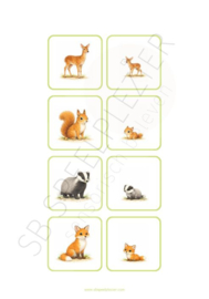 PDF Verbanden leggen - Jonge dieren