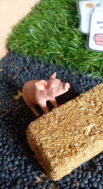 Complete Educatieve Speelset Varkens