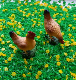 Speelrijst Groen met Narcissen 300 gr.