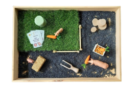 Complete Educatieve Speelset Varkens