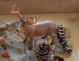 Sensorische Super Speelset Herfst in het Bos