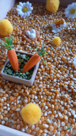 Complete Sensorische Speelset Van Ei tot Kip Lifecycle