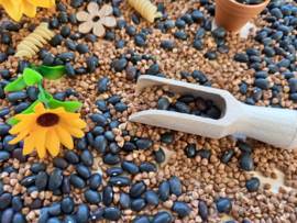 Sensorisch Pakket Zonnebloemen