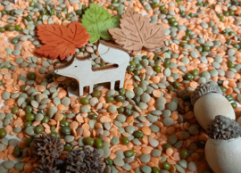 Complete Sensopatische SuperSpeelset Dieren in het Bos