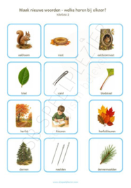 PDF Maak nieuwe woorden - Samenstellingen 72 kaartjes Herfst (Najaar)