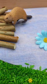 Complete Sensorische Speelset Bevers