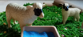 Sensorisch Thema Pakket Schaap met Lam