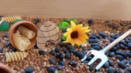 Sensorisch Pakket Zonnebloemen