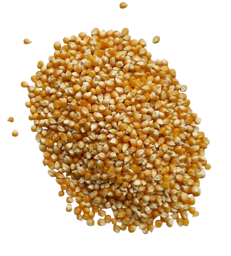 Gele mais 250 gr.