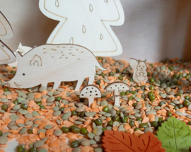 Complete Sensopatische SuperSpeelset Dieren in het Bos