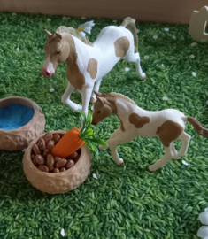 Complete Sensorische Speelset Paarden