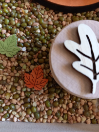 Complete Sensopatische SuperSpeelset Herfsttuin