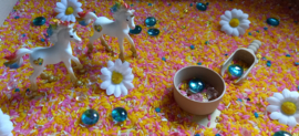 Complete Sensorische Speelset Unicorns