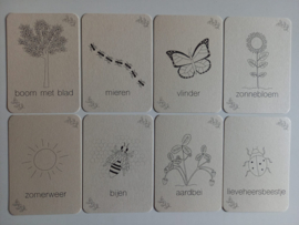 Wildebras Flashcards Zomer