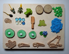 Complete Sensopatische Speelset Het leven van de Kikker