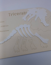 Trofast Insert Triceratops