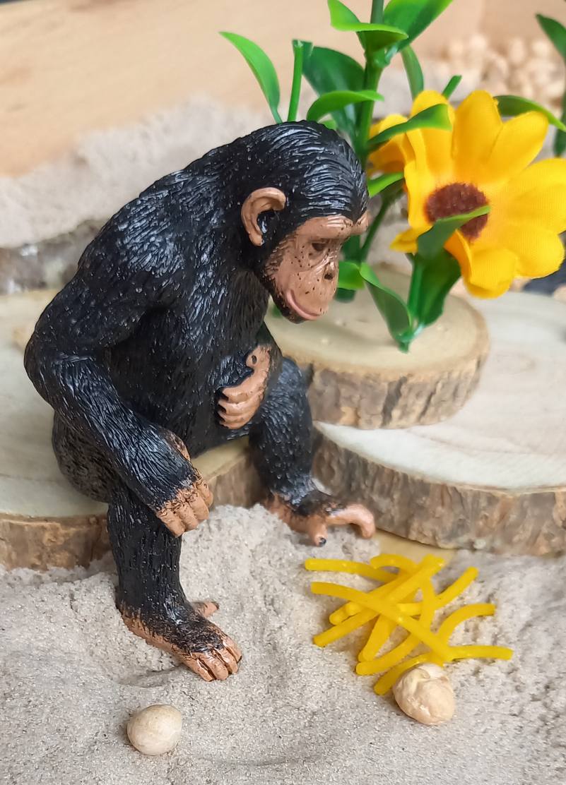 Complete Sensorische Speelset Avontuur bij de Chimpansees