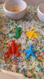 Complete Sensopatische Speelset Ik leer de kleuren