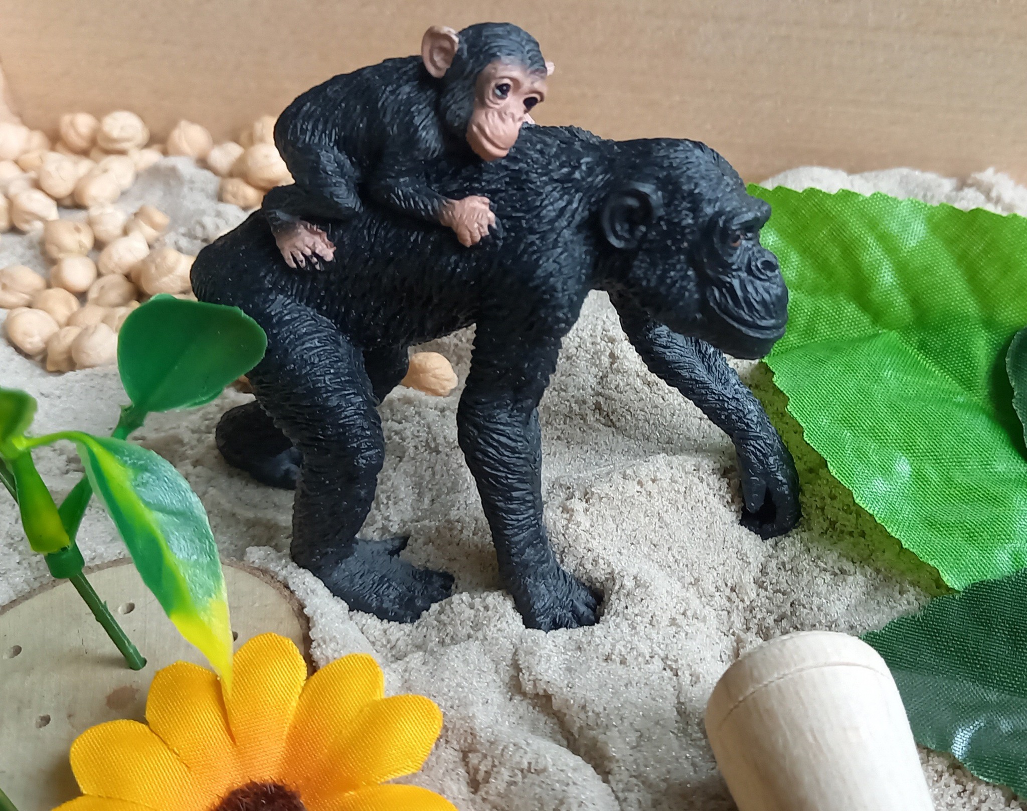 Complete Sensorische Speelset Avontuur bij de Chimpansees