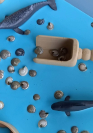 Zeedieren set B