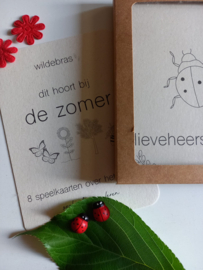 Wildebras Flashcards Zomer