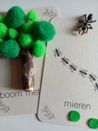 Wildebras Flashcards Zomer