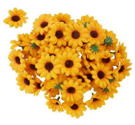 Zonnebloemen 10 st.