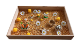 Complete Sensorische Speelset Van Ei tot Kip Lifecycle