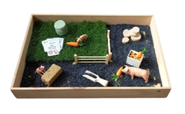 Complete Educatieve Speelset Varkens