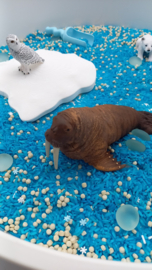 Complete Sensorische Speelset IJskoud