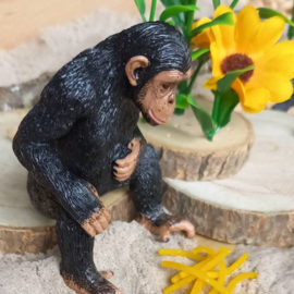 Complete Sensorische Speelset Avontuur bij de Chimpansees