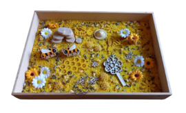 Sensorische SuperSpeelset Bijen