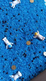 Speelrijst Ruimtevaart Astronautenmix 550 gr.