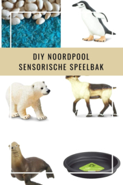 DIY Noordpool Winter Sensorische Playtray