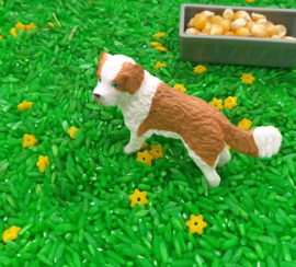 Sensorisch Pakket Lente op de Boerderij