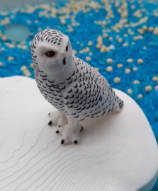 Complete Sensorische Speelset IJskoud