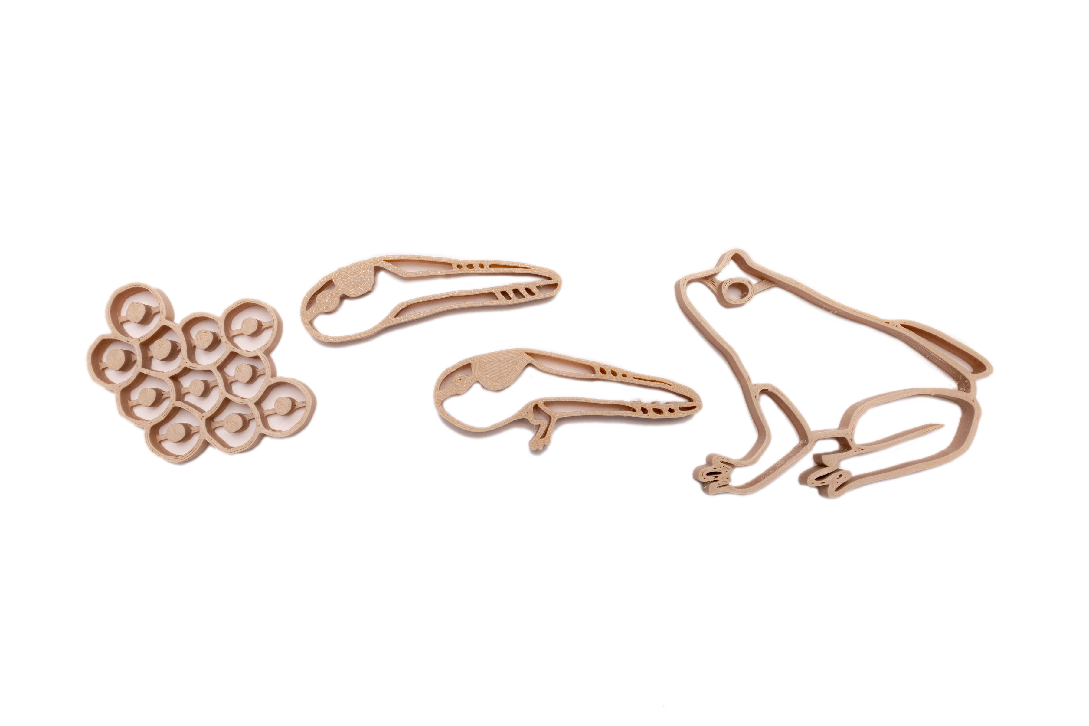 Thema Set Lifecycle Kikker Uitstekers + Speelfiguren