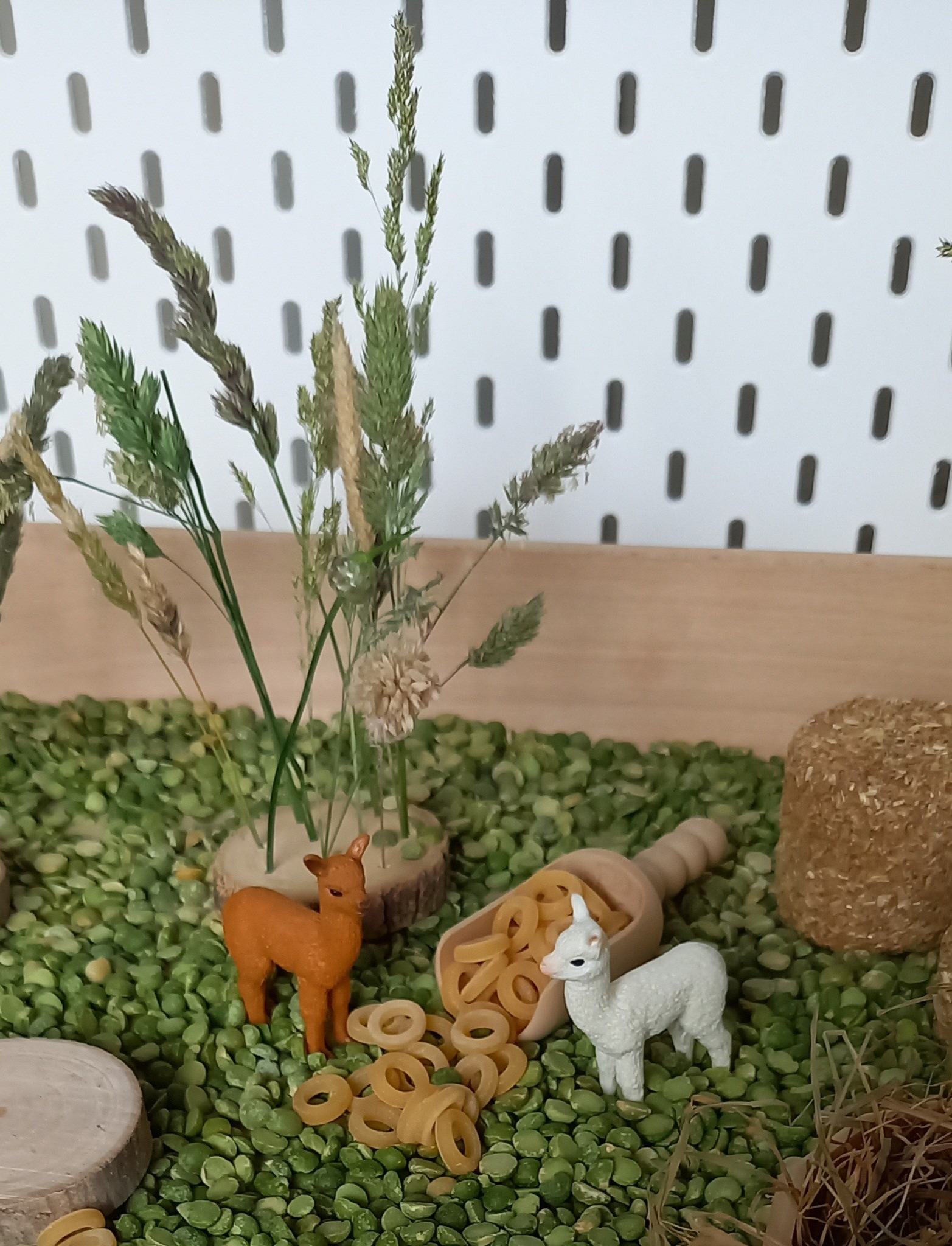 Complete Sensorische Speelset Alpaca's Nature