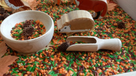 Speelrijst Herfstmix