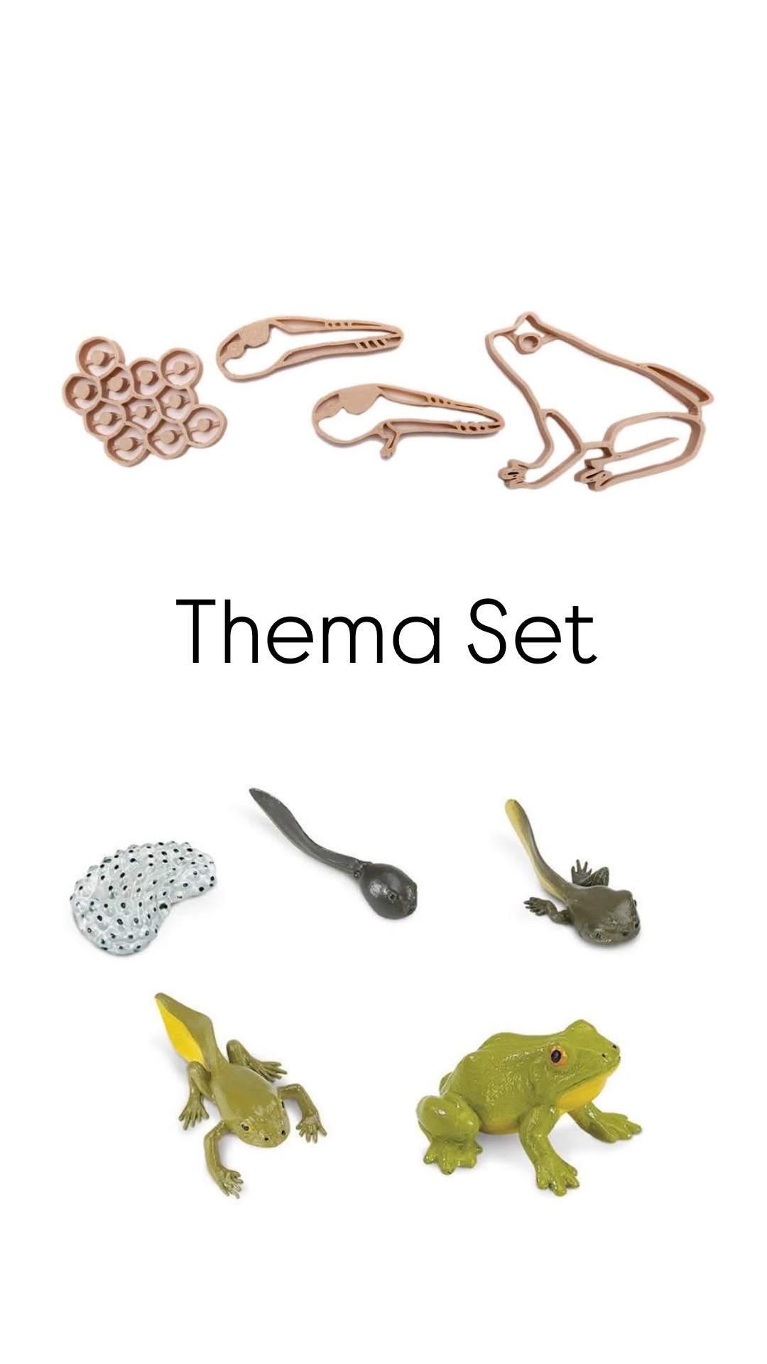 Thema Set Lifecycle Kikker Uitstekers + Speelfiguren