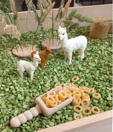 Complete Sensorische Speelset Alpaca's Nature