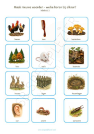 PDF Maak nieuwe woorden - Samenstellingen 72 kaartjes Herfst (Najaar)
