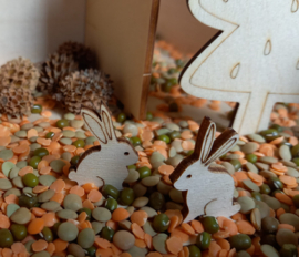 Complete Sensopatische SuperSpeelset Dieren in het Bos