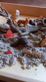 Sensorische Super Speelset Herfst in het Bos