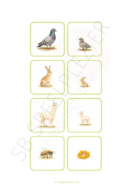 PDF Verbanden leggen - Jonge dieren