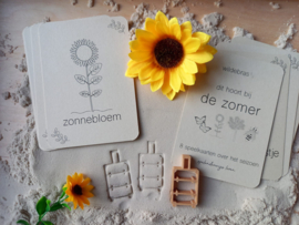 Wildebras Flashcards Zomer